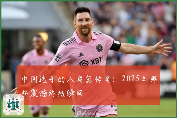 中国选手的八角笼传奇：2025年那些震撼终结瞬间