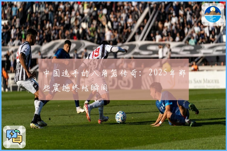 中国选手的八角笼传奇：2025年那些震撼终结瞬间